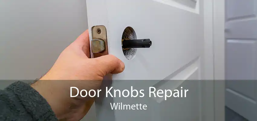 Door Knobs Repair Wilmette