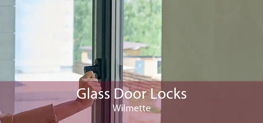 Glass Door Locks Wilmette