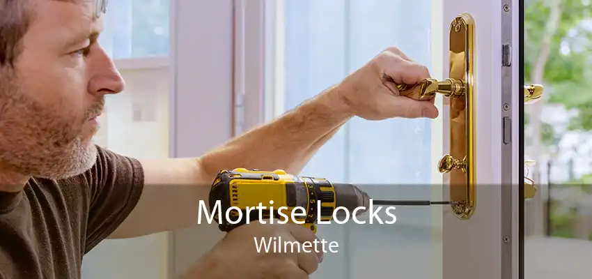 Mortise Locks Wilmette