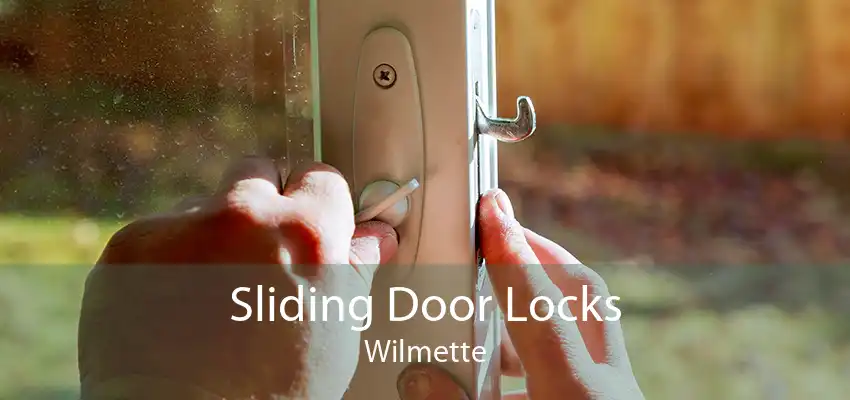 Sliding Door Locks Wilmette